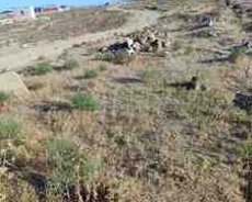 2 sot torpaq sahəsi, Savalan qəs