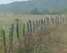 21 sot torpaq sahəsi, Qəbələ ş