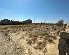 40 sot torpaq sahəsi, Binə qəs