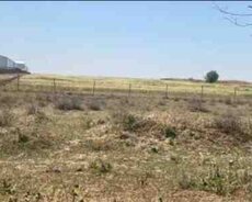 25 sot torpaq sahəsi, Maştağa qəs