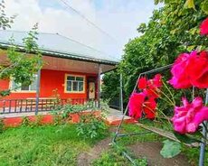 Həyət evi kirayə verilir, İsmayıllı r