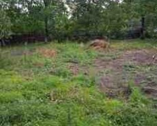 10 sot torpaq sahəsi, Vəndam qəs