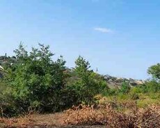 136 sot torpaq sahəsi, Quba r