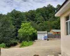 Bağ evi kirayə verilir, Lerik ş