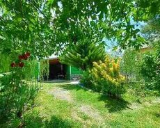 Həyət evi kirayə verilir, İsmayıllı r