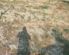 8 sot torpaq sahəsi, Qobu qəs