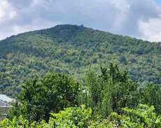 Həyət evi kirayə verilir, Quba r