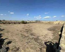 12 sot torpaq sahəsi, Türkan qəs