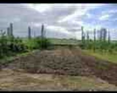 11 sot torpaq sahəsi, Qusar r