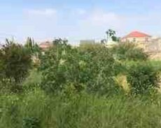 4 sot torpaq sahəsi, Xırdalan ş