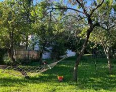 Bağ evi kirayə verilir, Zaqatala ş