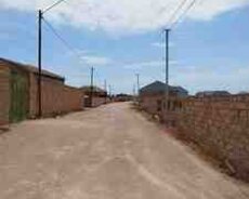 19 sot torpaq sahəsi, Türkan qəs