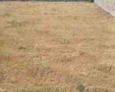 41 sot torpaq sahəsi, Maştağa qəs