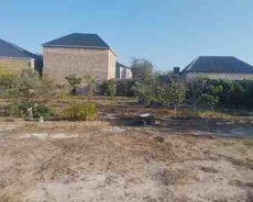 10 sot torpaq sahəsi, Qala qəs