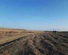 1000 sot torpaq sahəsi, Pirəkəşkül qəs