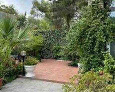 Bağ evi kirayə verilir, Mərdəkan qəs