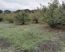 23 sot torpaq sahəsi, Qusar r