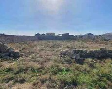 8 sot torpaq sahəsi, Maştağa qəs