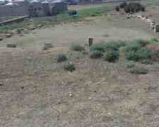 2 sot torpaq sahəsi, Saray qəs