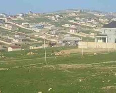 1.5 sot torpaq sahəsi, Xırdalan ş