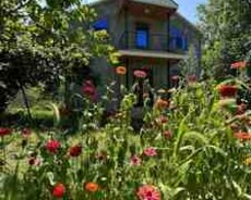 Villa kirayə verilir, Ismayillı ş