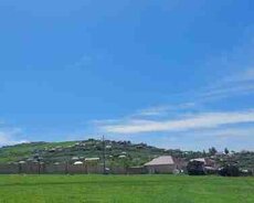 12 sot torpaq sahəsi, Şamaxı r