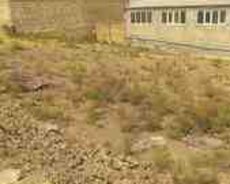 4 sot torpaq sahəsi, Binəqədi qəs