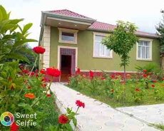Villa kirayə verilir, Qəbələ r