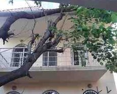 Villa kirayə verilir, Nəsimi r