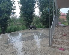 Quba, Quba qəçrəşdə günlük kirayə ev