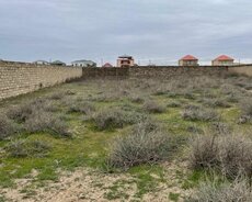 Sabunçu r., Nardaran q.