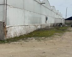Xəzər r., Buzovna q.