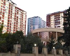 Nizami r.