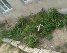 Sabunçu r., Maştağa q.