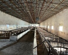 Şirvan, Şirvan şəhəri, Bakı Şirvan yolunun kənarı