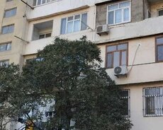 Nizami r., Xalqlar Dostluğu m.