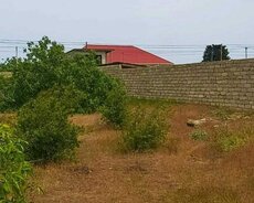 Xəzər r., Buzovna q.