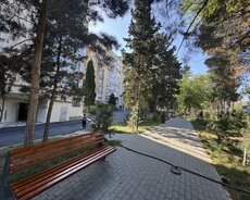 Xətai r., Həzi Aslanov m.