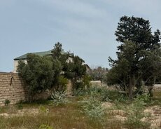 Sabunçu r., Bilgəh q.