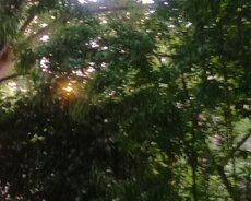 Xətai r., Əhmədli m.