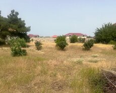 Sabunçu r., Maştağa q.