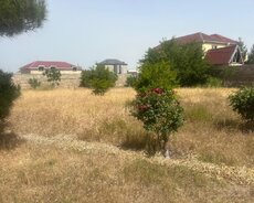 Sabunçu r., Maştağa q.