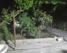 Sabunçu r., Maştağa q.