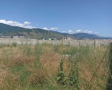Şəki, Torpaq satışı