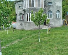 Qax, Qax Kiraye evler