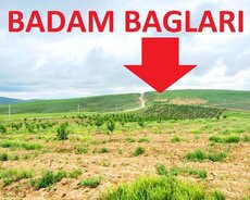 Şamaxı, Qaradağ r.
