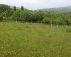 İsmayıllı, Torpag satilr
