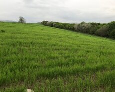 Quba, Torpaq satılır 128 sot, Quba rayonu