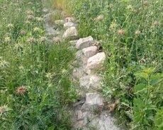 Ağsu, Biznes üçün torpaq sahesi