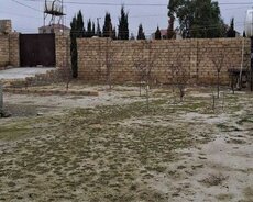 Abşeron r., Novxanı q.